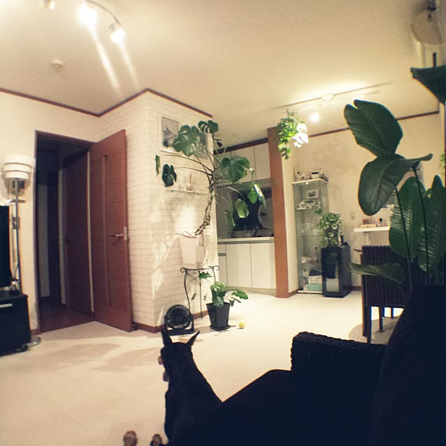 meco8さんの実例写真