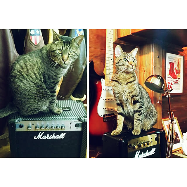 ken.kawakamiさんの実例写真