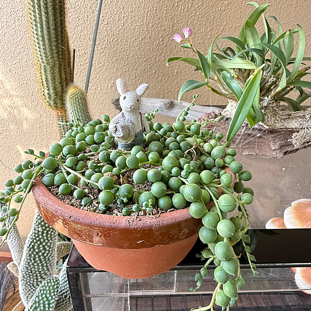 Aqettyさんの部屋