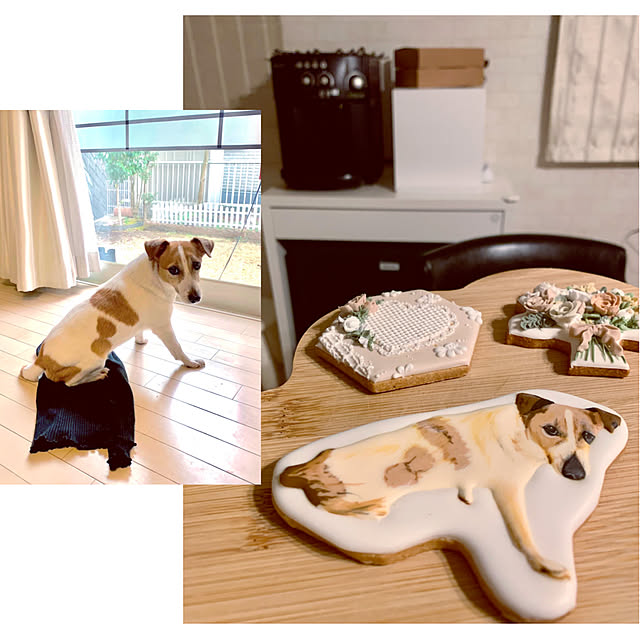 kittyさんの部屋