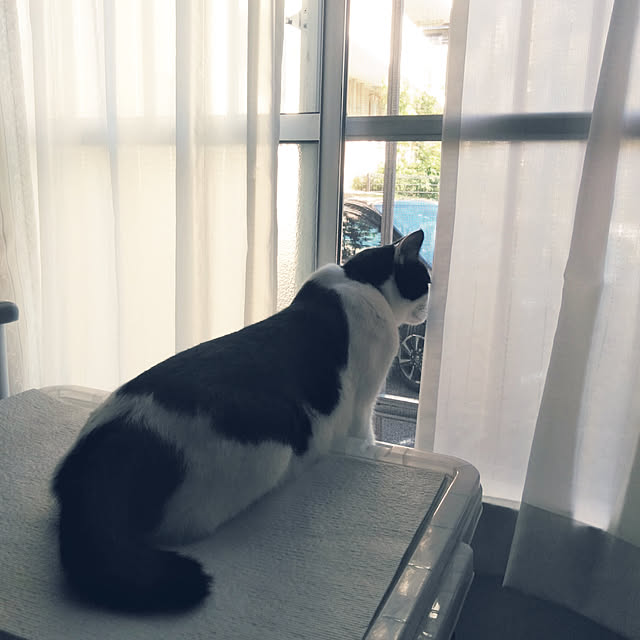 futukoさんの実例写真
