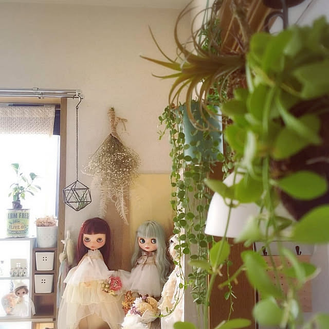 haruさんの実例写真
