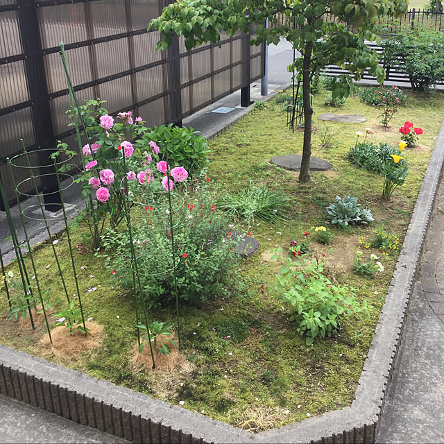 kakoさんの実例写真