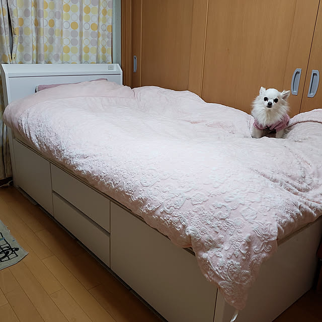 rimiさんの実例写真
