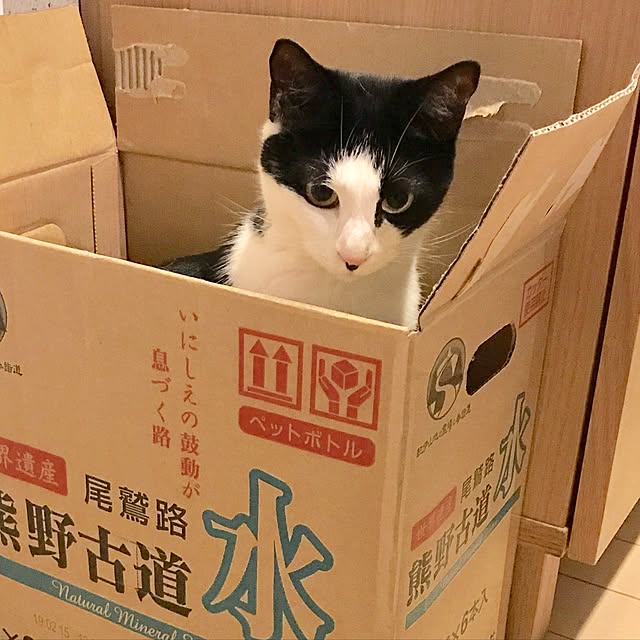 ziziguguさんの実例写真