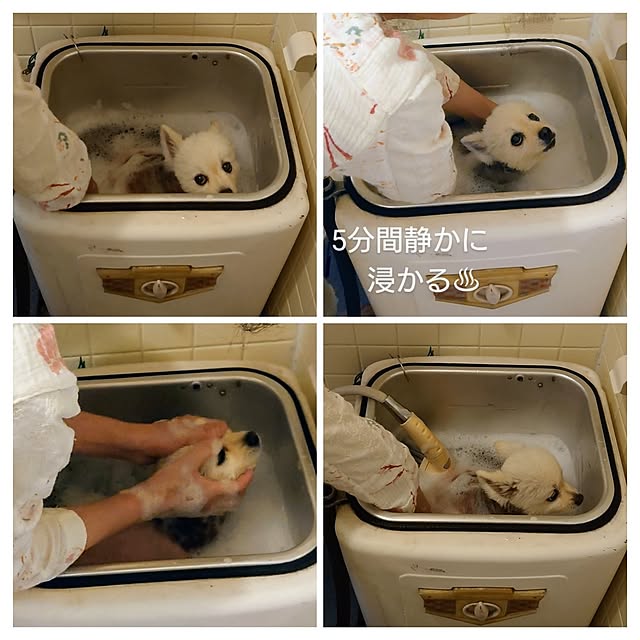 akaidarumaさんの部屋