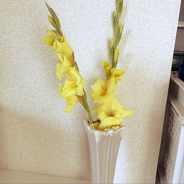 Rikimaさんの実例写真