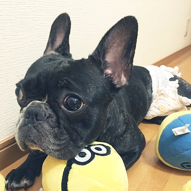 T..Nさんの実例写真