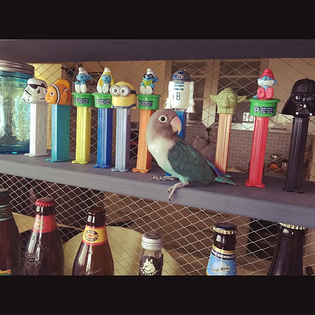 kajumaruさんの実例写真