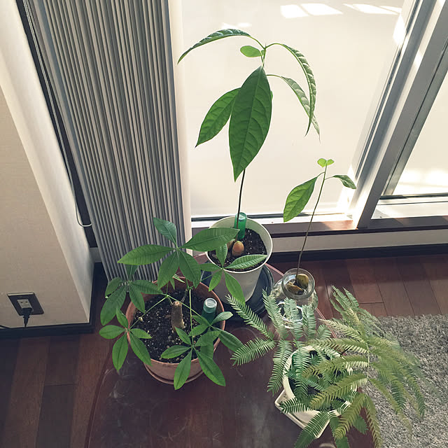HKSさんの実例写真