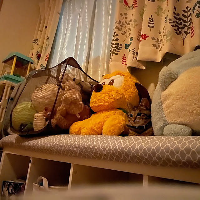 chiiさんの部屋