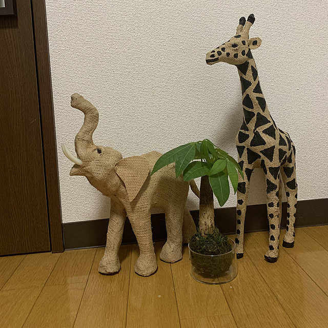 jinさんの実例写真