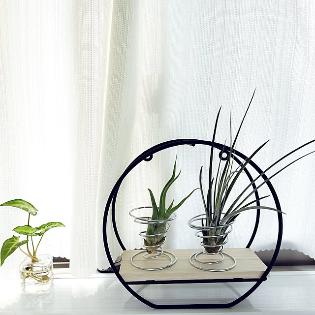 nachiさんの部屋