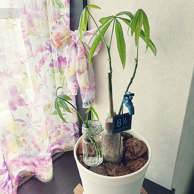 meiさんの実例写真