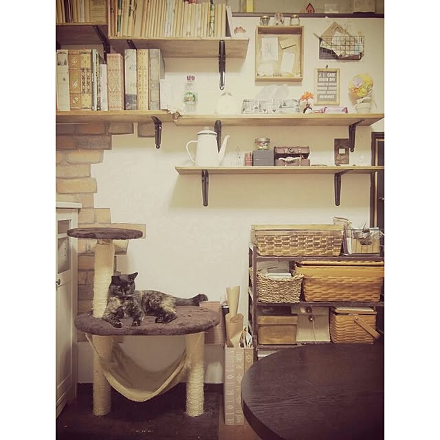 Ryoさんの実例写真