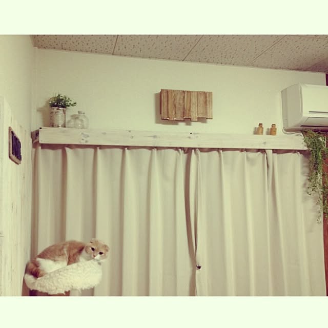 runtenさんの実例写真
