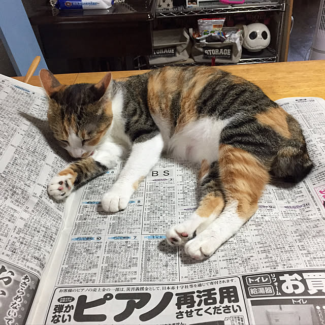 vivienne.coco-keiさんの実例写真