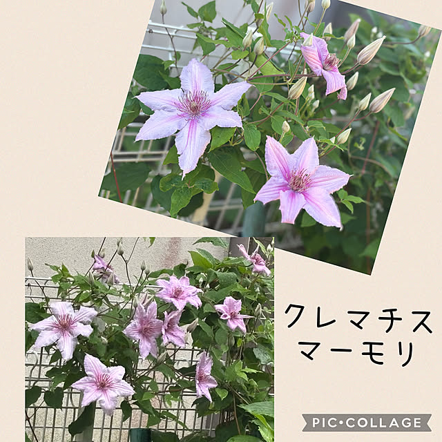 CoCo0617さんの部屋