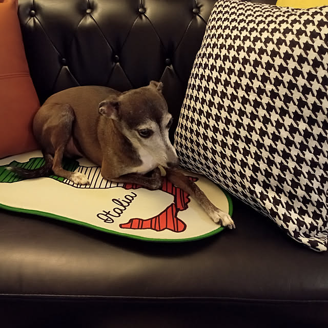 moruさんの実例写真