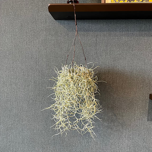 kumaさんの部屋