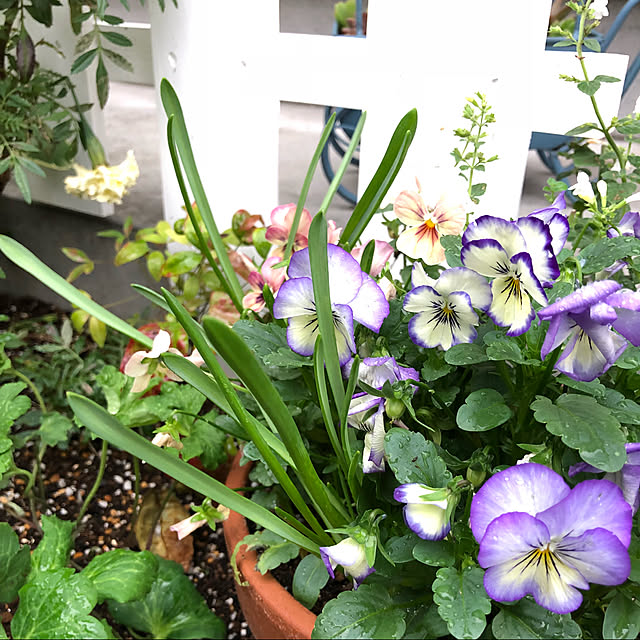 nakabaさんの実例写真