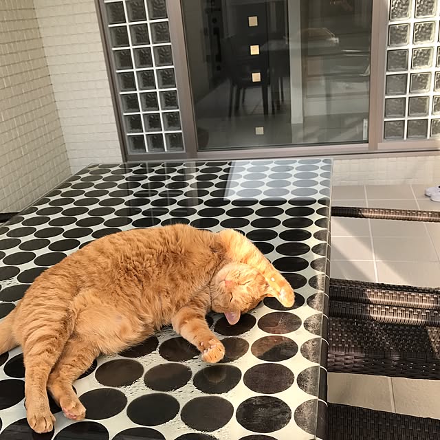 minakoさんの実例写真