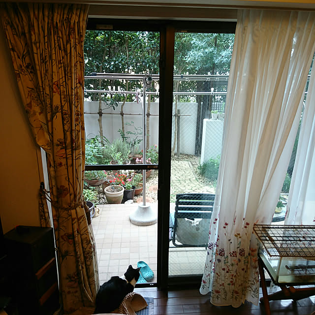 okyosan101さんの実例写真