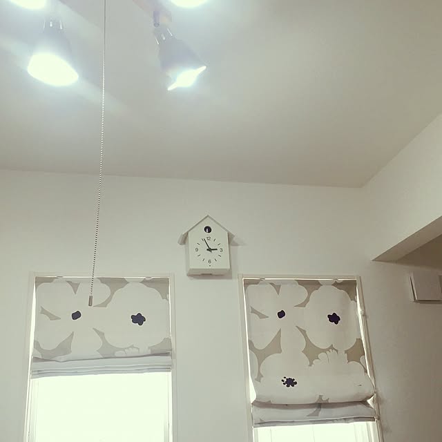 Risaさんの実例写真