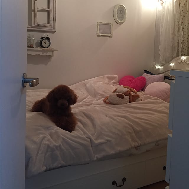 Naomiさんの実例写真