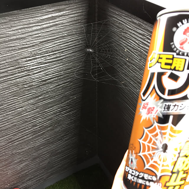 seiさんの実例写真