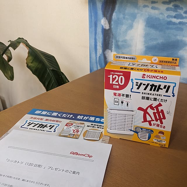 chiz3さんの実例写真