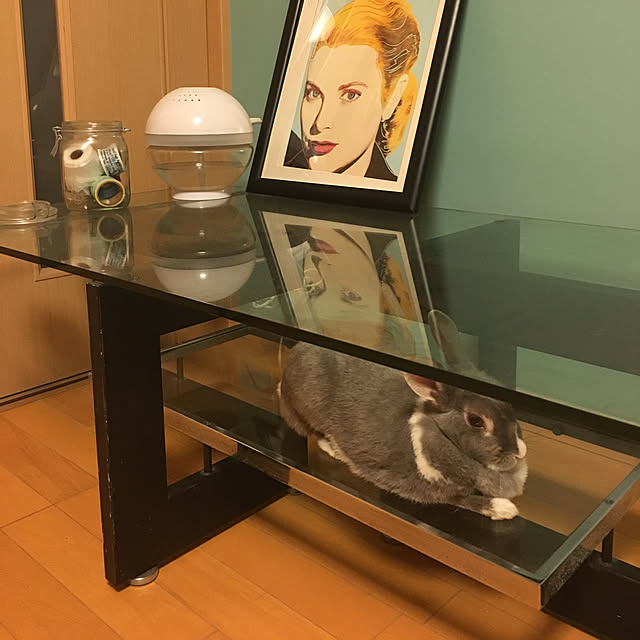 lanaさんの実例写真