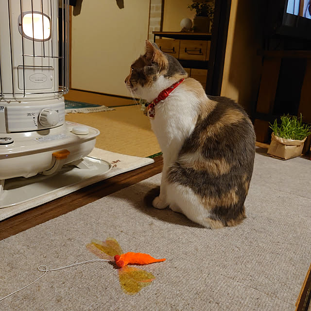 fukuさんの実例写真