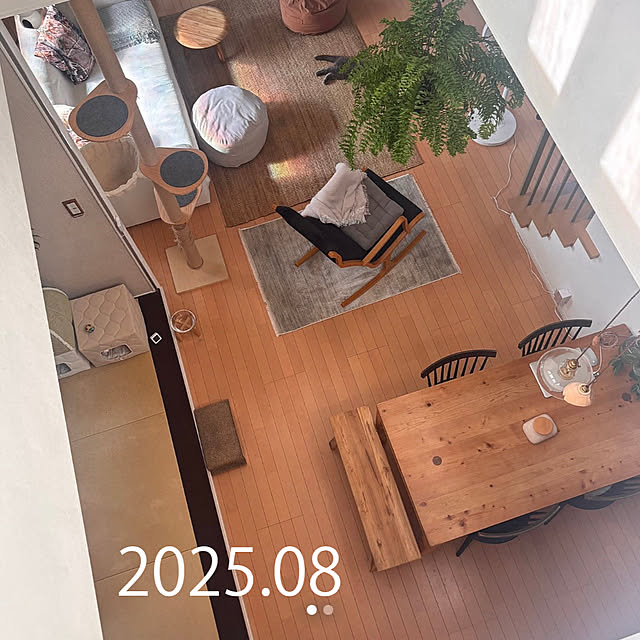 greycatsさんの部屋