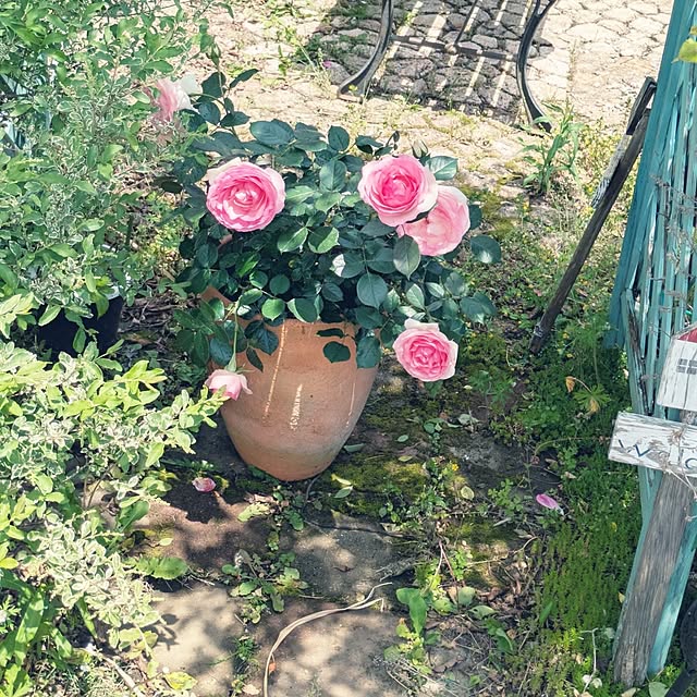 prepreさんの部屋