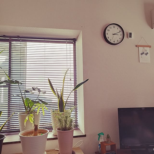 animallandさんの部屋
