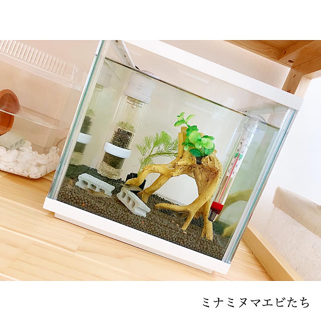 chaluさんの実例写真