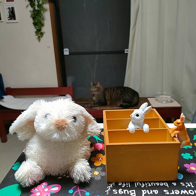 mori_6_12さんの部屋