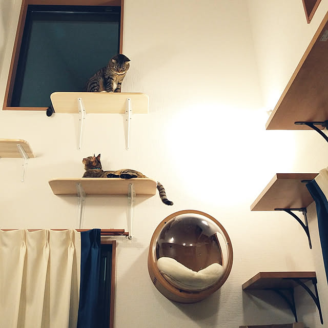 mochicoさんの実例写真
