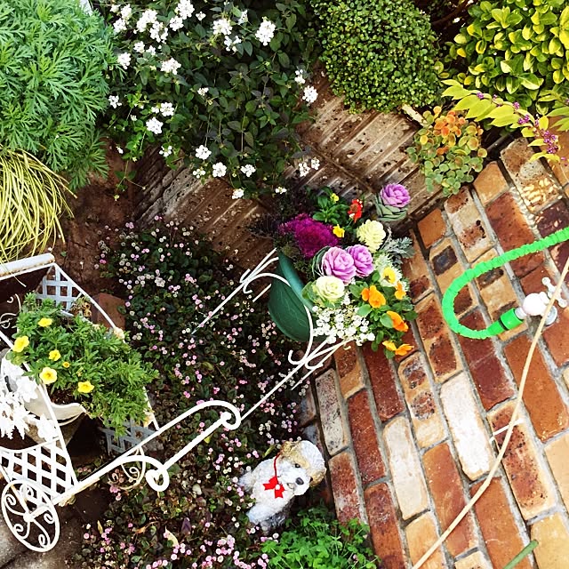 mukkuさんの実例写真