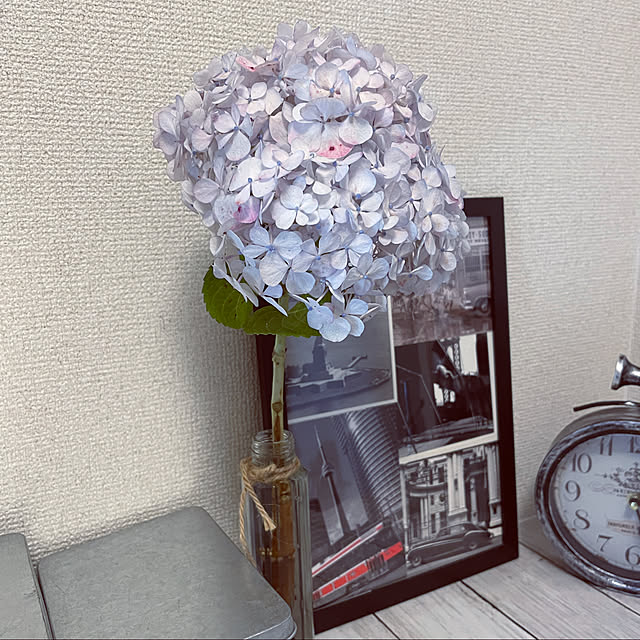 yucalolさんの実例写真