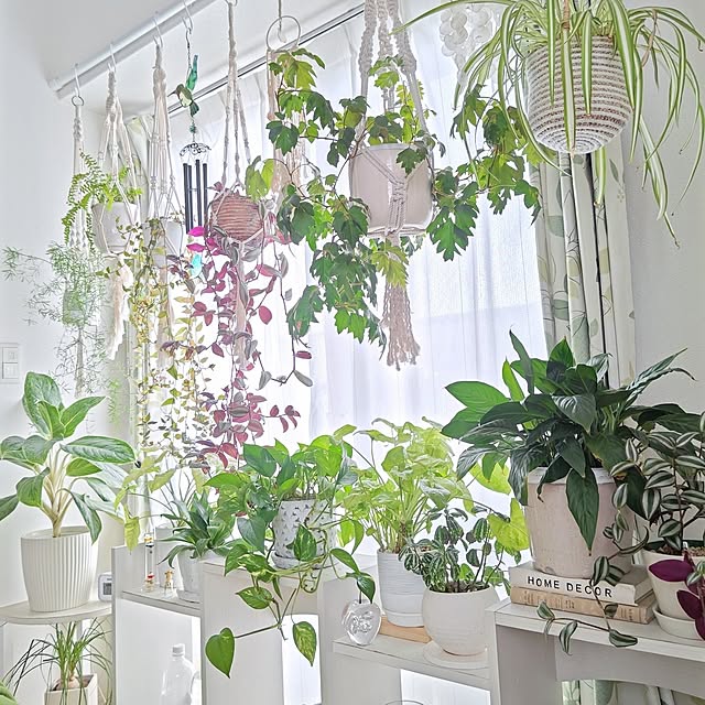 YuriYuriさんの部屋