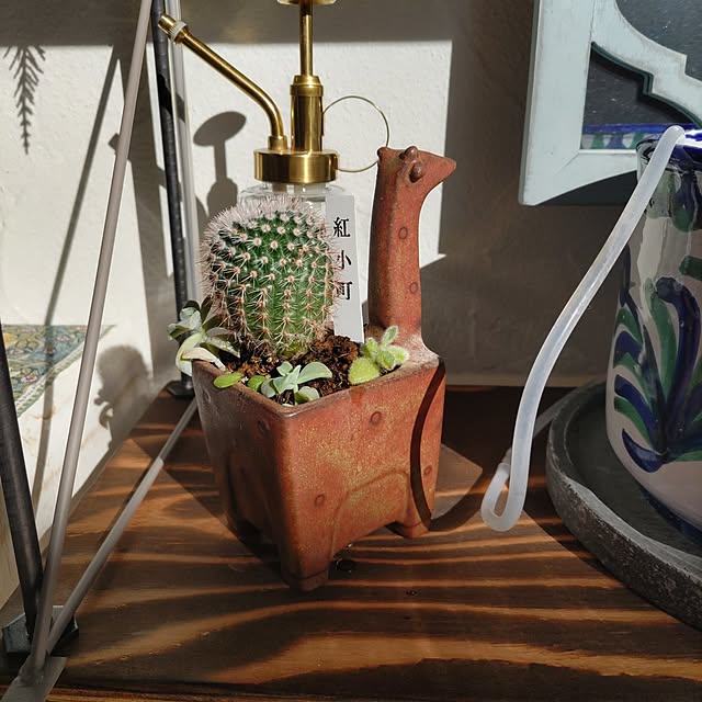 Maroさんの実例写真