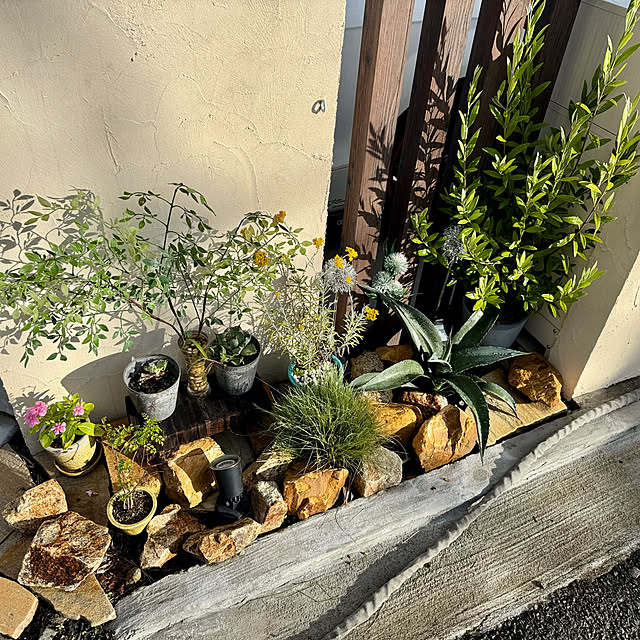 yutaさんの部屋