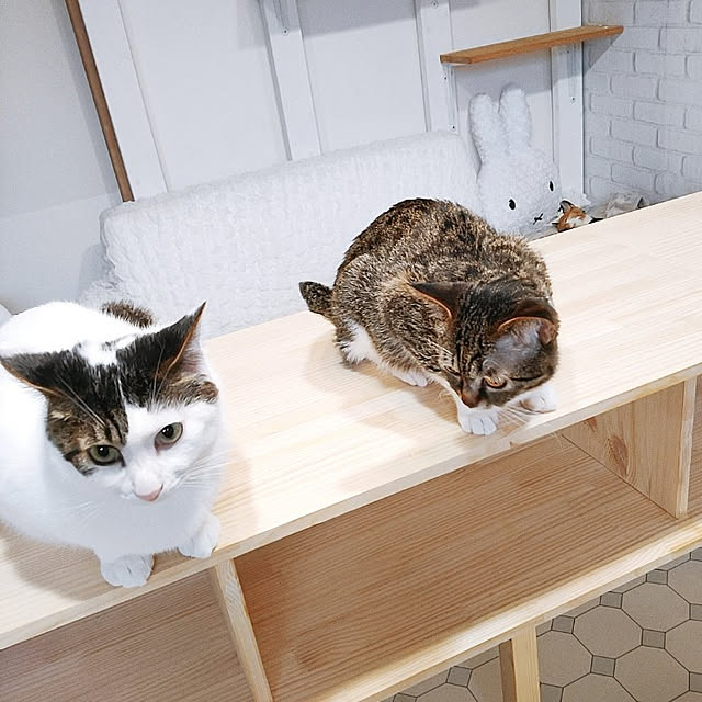 kirakirahikaruさんの実例写真