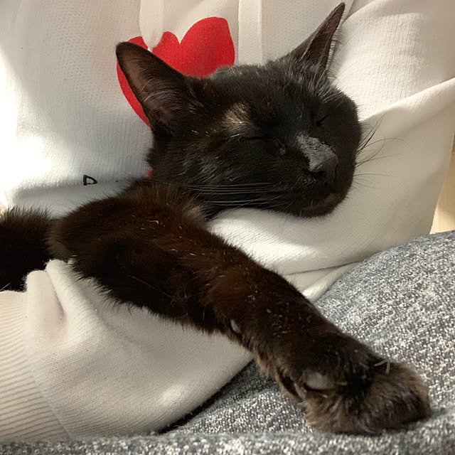 haryu1202さんの実例写真