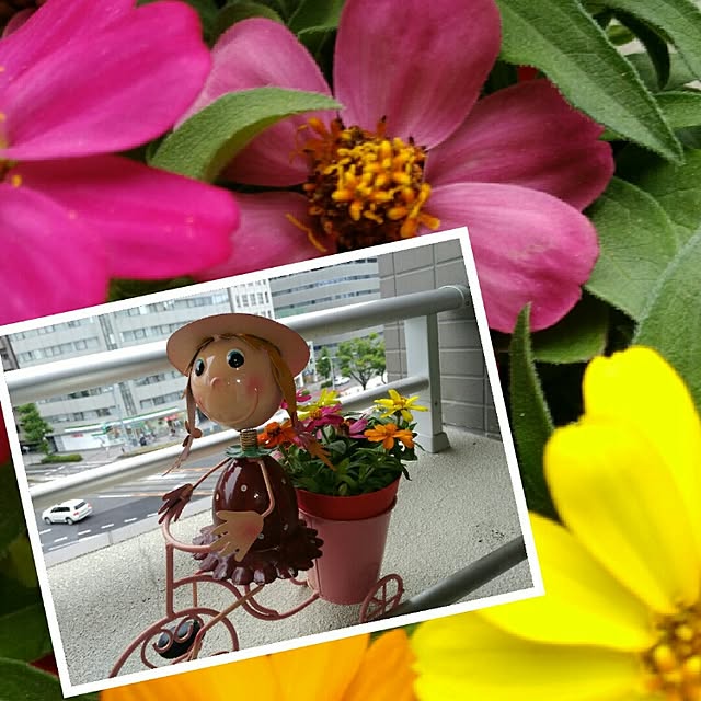 mayumiさんの実例写真