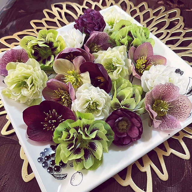 yukarin-gardenさんの実例写真