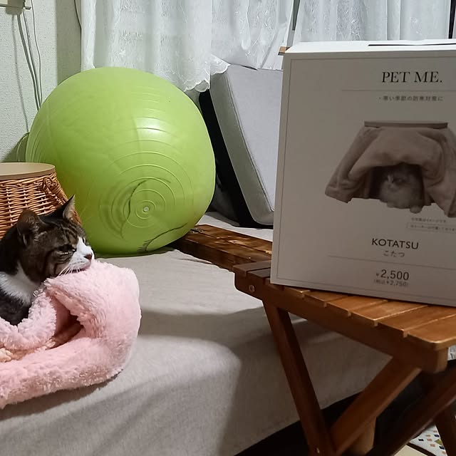 civicglさんの部屋