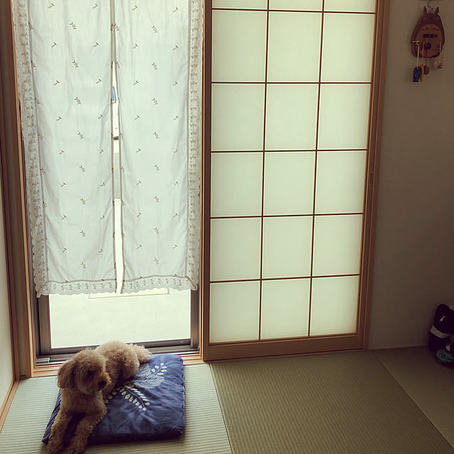 部屋全体のインテリア実例 - 2019-09-29 14:34:16